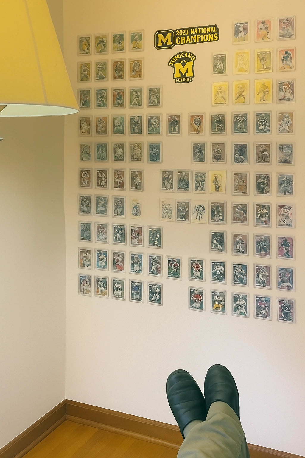 Wall installation guide for FlexDeez display system with trading cards arranged in a grid