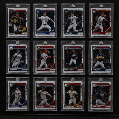 FlexDisplay Sports Card Collector Wall System (12 Displays)